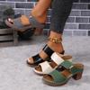2024 Summer Chunky High-heeled Sandals Light Hollow-out Solid Color Women's Foot Slippers