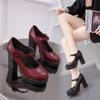 Mary Jane Shoes   2024 New Chunky Platform  Women High Heels Pumps Woman Round Toe Thick Heel Party Work Shoes