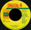 7inch Record MALIBU - Mali Medley NONE Digital-B Jamaica Reggae, Ska & Dub Used