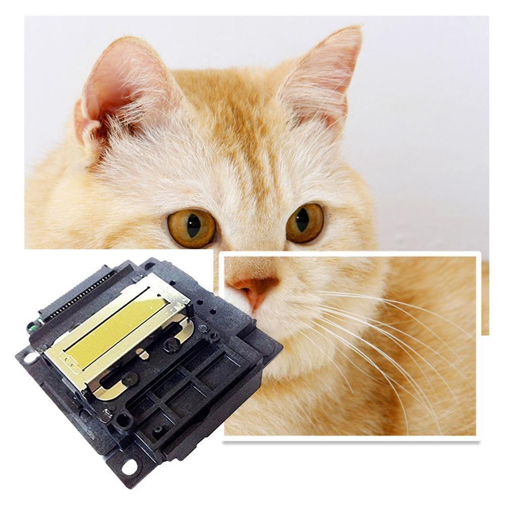 Print Head For Epson L300 L566 ME401 WF2540 XP310 XP303 WF2510 ET2550 FA04010