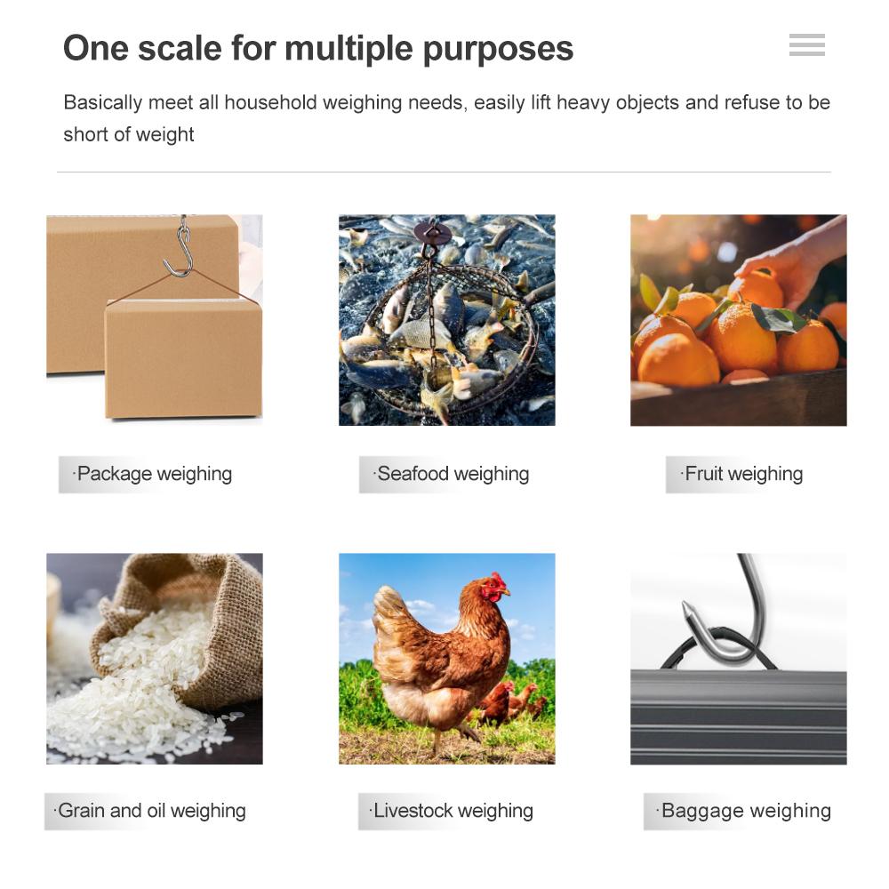 Digital Scale 40kg X 10g Mini Electronic Hanging Fishing Luggage Balanca Portable Digital Handy Pocket Weight Hook Scale