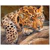 DIY 3D Diamond Painting Animal Leopard Embroidery Cross Craft Stitch Home Decor
