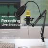 BM800 Condenser Microphone Kit: Sound Card for Live Streaming & Computer Recording