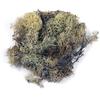 Iceland Moss Nature 1 Kg