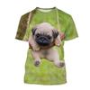 Animal Dog Pug T-shirt Anime 3D Graphic For Couple's Men's Women's Adults' Masquerade 3D Print Casual Daily