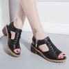 Fashion 2025 New Summer Women's Sandals Thick Heels Side Zip Roman Sandals Comfortable Wear Resistant Women High Heels Zapatos De Mujer