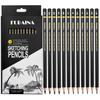 12 Pcs Art Pencils Graphite Shading Pencils for Beginners & Pro Artists Professional Drawing Sketching Pencil Set