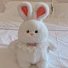 Rabbit With Bear Bib Plush Toy Backpack Stuffed Doll Cartoon Gift Decoration
