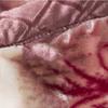 Winter Blanket Bed Soft Coral Flannel Flannel Blanket Faux Fur Mink Solid Color Sofa Cover Bed Cover Plus Velvet Breathable Sheet