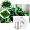 DIY Aquarium Landscape Moss Line Fern String Wire Transparent Grass Aquatic Live Plant