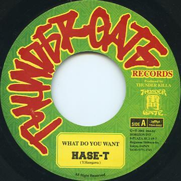 7inch Record HASE-T - What Do You Want TGH0002 Thunder Gate Re 2001 Japan Reggae, Ska & Dub Used