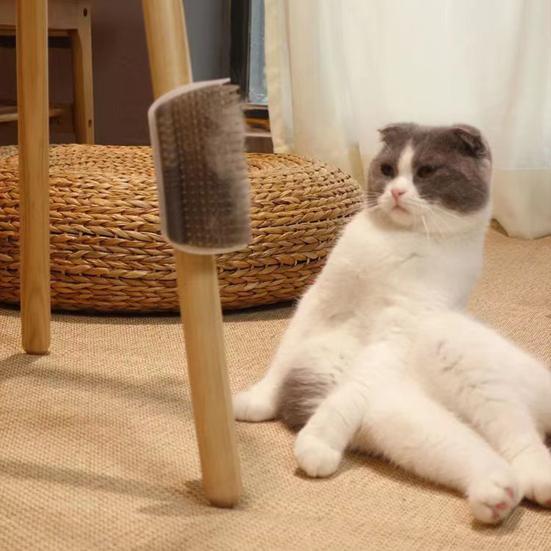 Cat Self Groomer Wall Table Legs Corner Massage Comb Cat Scratcher Grooming