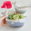 Large Blue Whale Succulent Plant Flower Pot Resin Silicone Mold Sea Turtle Seal Candle Cup Storage Box Concrete Gypsum Mold