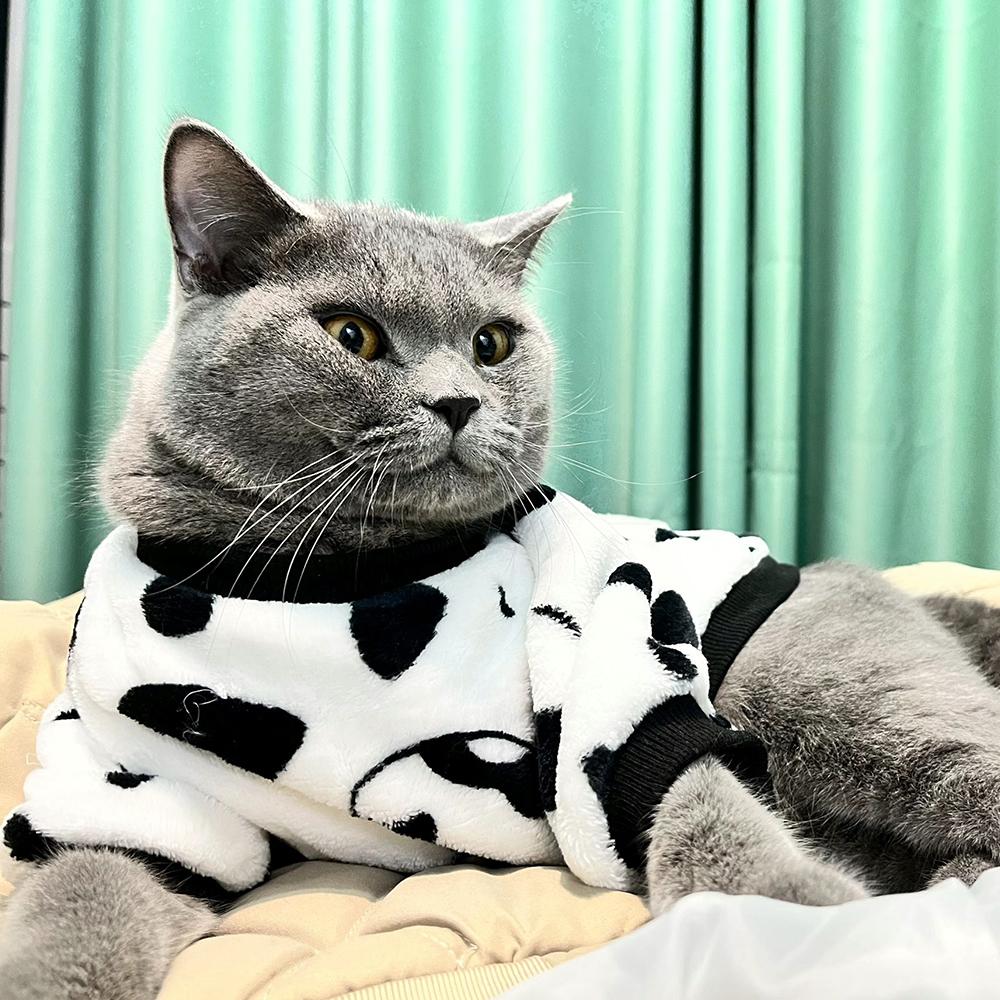 Soft Dog Fleece Pullover Pet Clothes Comfortable Cute Puppy Kitten Coats Sweater for Small Medium Dogs Cats Warm Winter Outfit