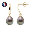 Earrings - - Gala - Tahitian Pearls 8-9 Mm - Yellow Gold - AAA+