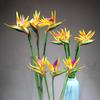 Nearly Wedding Home Decor Long Stem Silk Crane Latex Flowers Artificial  Flowers Tropical Flowers