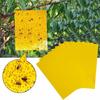 5 Pcs Insect Trap Large Area Hanging Sticky Glue Boards Fly Pest Bug Catcher Plate