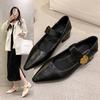 Retro Temperament Single Shoes Women's Spring New Outer Wear Pointed Head Low Heel Thick Heel Mary Jane Shoes Small Leather Shoes