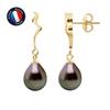 Earrings - - Ribbon - Tahitian Cultured Pearls - 9-10 Mm - 9 Carat Yellow Gold