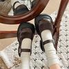 Black Retro Thick Heel Platform Small Leather Shoes Women's 2025 New Spring and Autumn Versatile Skirt Round Head Mary Jane Single Shoes