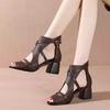 Fashion Soft Sandals Woman ,Summer High Heels Shoes ,Sexy Hollow Out ,Peep Toe ,Rome Style ,Black ,Brown ,Beige ,Dropship