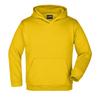 James and Nicholson Unisex Adult Moisture Wicking Hoodie