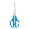 EC Stainless Steel Scissors 165mm