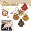 Pet Hair Keepsake Keychain Dog Cat Paw Shape Hair Storage Pendant Keychain Memorial Collection Keychain with Keyring Pet Memorial Gift for Bag