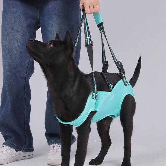 Dog Lift Harness Full Body Support Rehabilitation Dog Sling Carrier Recovery Dog Lifter Vest for Old Joint Injuries Arthritis Disabled Dogs Walk