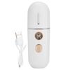 USB Charging Face Mist Sprayer Moisturizing Portable Face Humidifier Nano Face Steamer