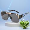 New Lion Head One Piece Sunglasses Trend Big Frame Sunglasses Female Personality Hollow Temple Glasses