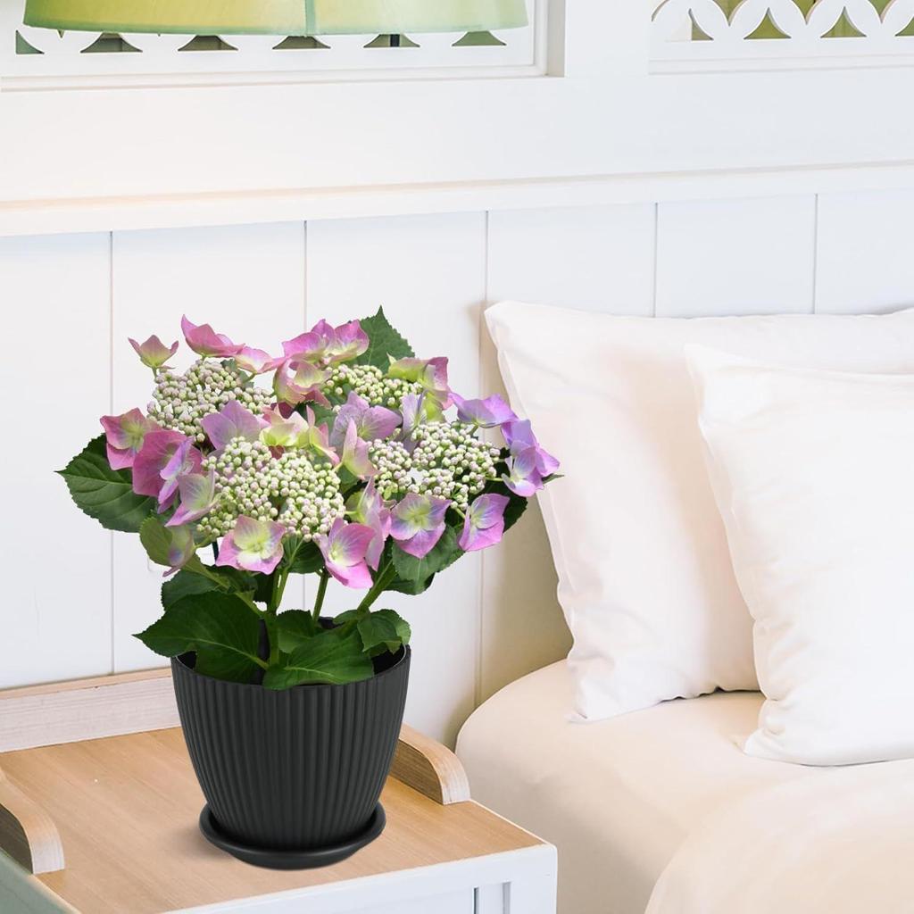 Plastic Round Flower Pots with Tray for Home Planters, Terrace, Garden Etc | Pack of 05 | Black | Size 6.5 Inch