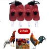 4pcs Rooster Cocks Mitt Para Gallos Hen Helmet Fighting Protection Farm Animals Chicken Coop Supplies Accessories