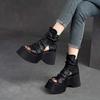 Muffin Thick-soled Personalized Cool Boots Spring and Summer New Fish Mouth Comfortable Versatile High-top Sandals