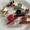 French Style Woman Exquisite Version Small Acetate Cute Hair Claws Barrettes Lady Trendy Side Clips Girls Hair Accessories