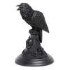 Gothic Candle Holder Resin Figurine Candlestick Stand Home Decor Accessory Holiday Decoration Owl