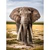 DIY Elephant 5D Diamond Painting Full Round Drill Animal Diamond Embroidery Cross Stitch Mosaic Kits Wall Art Gift Home Decor