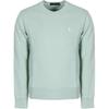 Polo Ralph Lauren Embroidered Logo Crew Neck Pullover Long Sleeve Sweatshirt Men Sweatshirt Green 710916689-012