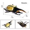 Oenux Simulation Dragonfly Grasshopper Centipede Wild Insect Animals Model Action Figures Miniature Education Collection Kid Toy