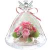 IPFA Preserved Flowers Glass Dome Angel Birthday Wedding Gift Wedding Anniversary Retirement Gift 60th Birthday Gift Popular Flowers Roses Celebration