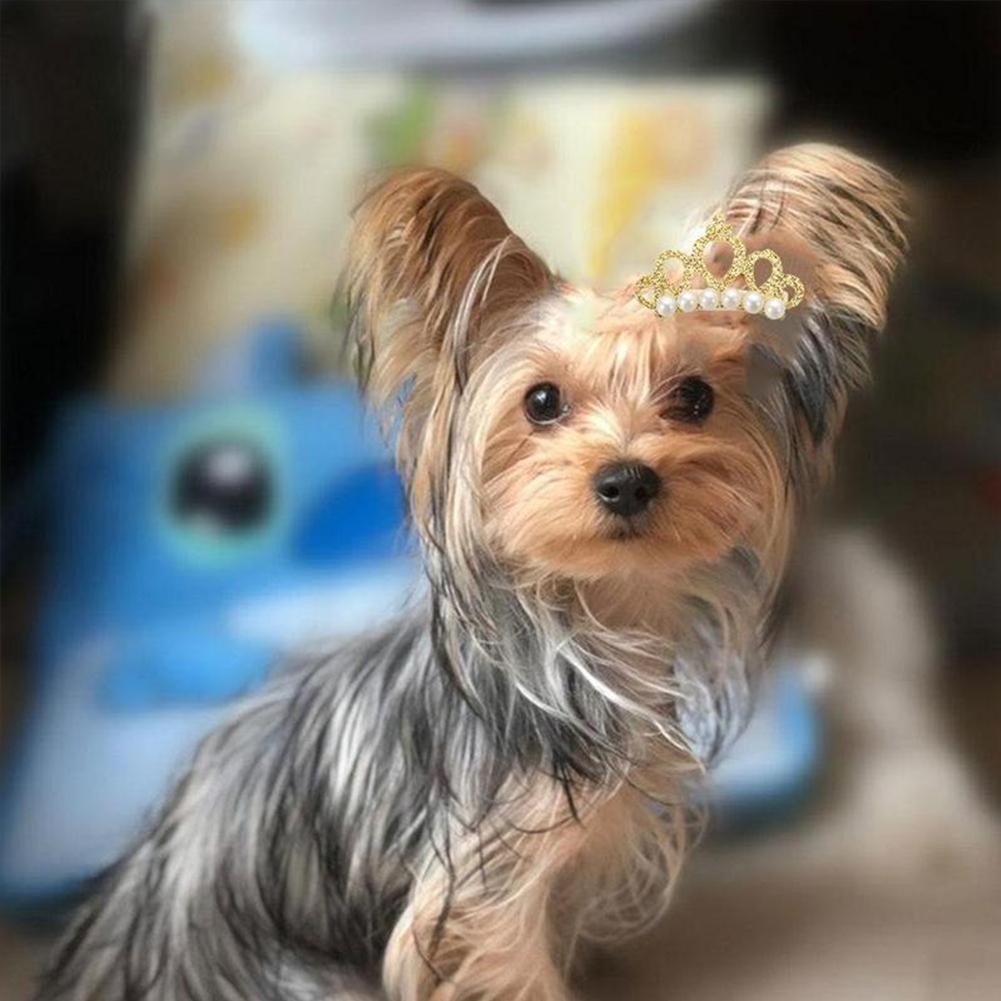 Headdress Cat Grooming Pet Headwear Puppy Accessories Hair Dog Bow-tie Flower Bowknot Pet Clip L4D6