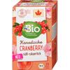 dmBio Fruit Tea Canadian Cranberry 40g 20 Packs