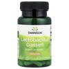 Lactobacillus Gasseri, 3 Billion CFU, Vegan Drcaps 60 Tablets