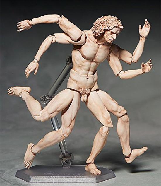 Figma Table Museum Vitruvian Human Figure Painted Movable Figure Non-scale ABS&PVC
