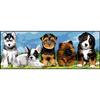 Penelope Antique Canvas The Puppies 25x60cm