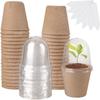10Pcs Seedling Cup Cultivation Pot Transparent Lid Greenhouse Breeding Box Biodegradable Plant Growing Cup Gardening Supplies