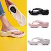 Slippers Female Summer Fashion Slope with Thick Bottom Flip-flops Outside Wear Beach Clip Toe Sandals