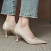 High Heels Women's Spring Summer New Commuter Pointed Stiletto Professional Work Shoes Not Tired Feet Single Shoes