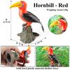 Oenux Bird Nest Animals Peacock Parrot Trogon Hornbill Owl Model PVC Action Figures Big Garden Decoration Cute Kids Toy Gift