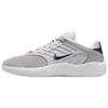 Vertebrae SB Platinum Tint Navy Men Sneakers Grey Wolf-Grey Summit-White FD4691-002